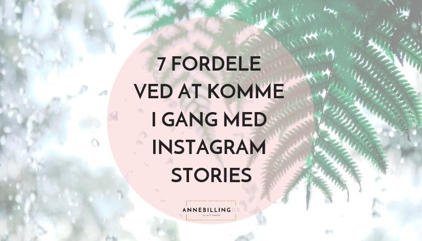 Fordele ved Instagram Stories