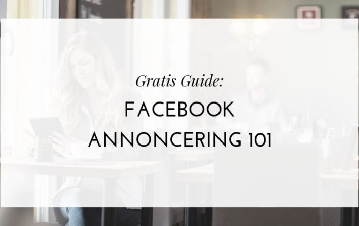 Gratis guide til Facebook annoncering