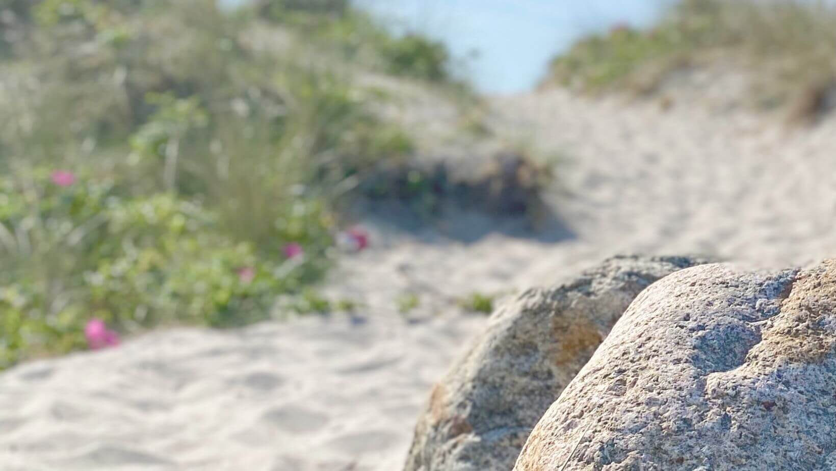 Sti mellem klitter og sten ved stranden